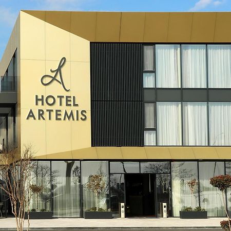 Hotel Artemis Орадя Экстерьер фото
